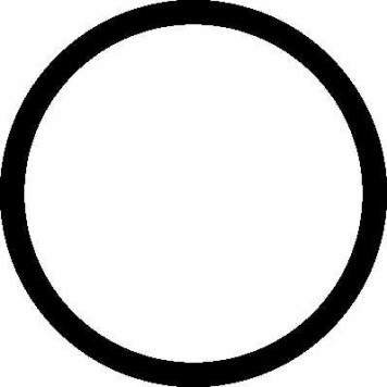 Прокладка выхлопной трубы ELRING 153.210