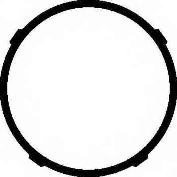 Прокладка впускного коллектора ELRING 359.380