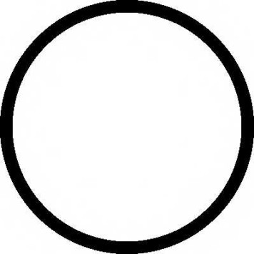 Прокладка корпуса впускного коллектора ELRING 359.390