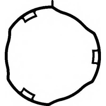 Прокладка впускного коллектора ELRING 456.960