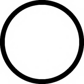 Прокладка впускного коллектора ELRING 504.170