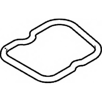 Прокладка крышки головки цилиндра ELRING 569.700