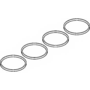 Комплект прокладок впускного коллектора ELRING 893.650