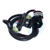 Датчик импульсов ERA 550351