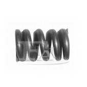 Пружина глушителя FA1 105-902