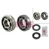 Комплект подшипника ступицы колеса FAG 713 6221 10