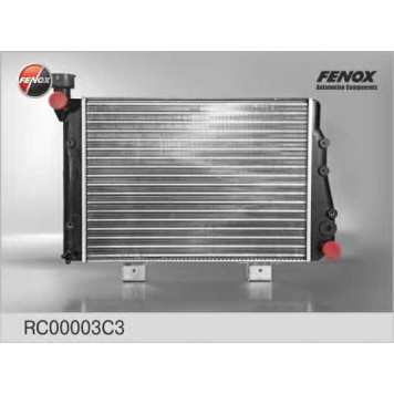 Радиатор охлаждения двигателя FENOX RC00003C3