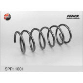 Пружина ходовой части FENOX SPR11001
