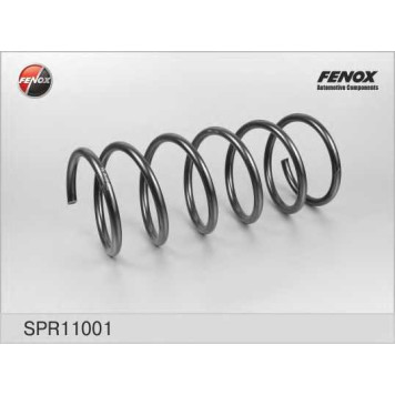 Пружина ходовой части FENOX SPR11001
