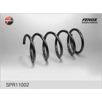 Пружина ходовой части FENOX SPR11002