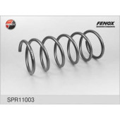 Пружина ходовой части FENOX SPR11003