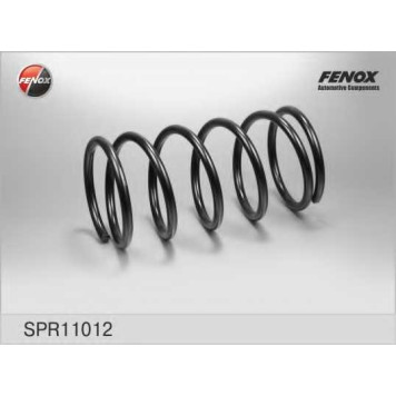 Пружина ходовой части FENOX SPR11012