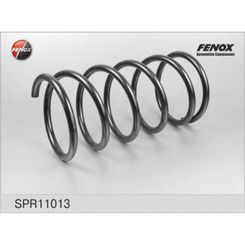 Пружина ходовой части FENOX SPR11013