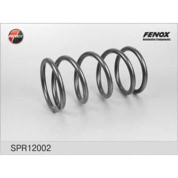 Пружина ходовой части FENOX SPR12002