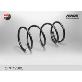 Пружина ходовой части FENOX SPR12003