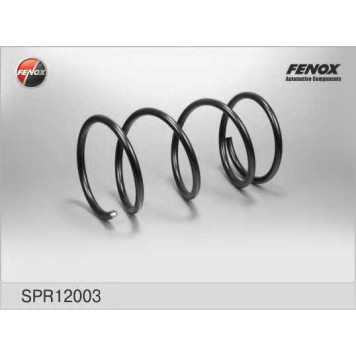 Пружина ходовой части FENOX SPR12003