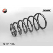 Пружина ходовой части FENOX SPR17002