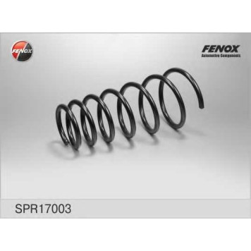 Пружина ходовой части FENOX SPR17003