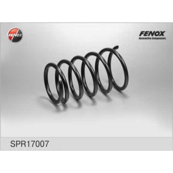 Пружина ходовой части FENOX SPR17007