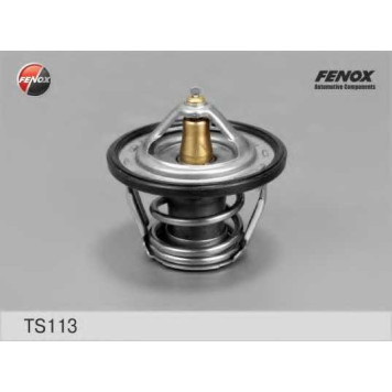 Термостат охлаждающей жидкости FENOX TS113