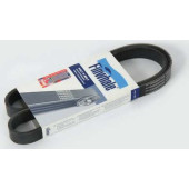 Поликлиновой ремень FINWHALE BP6113