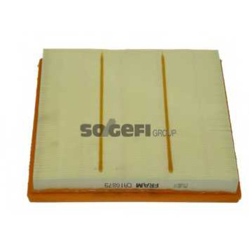 FRAM CA10879 - фильтр воздушный