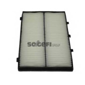 Фильтр салонный FRAM CF9640