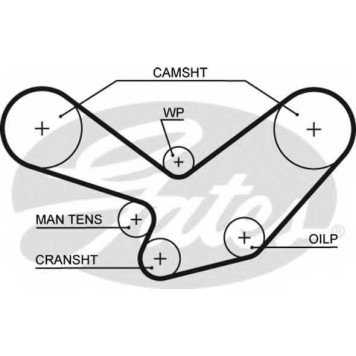 Ремень ГРМ GATES 5096