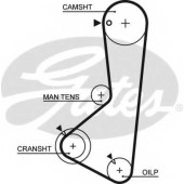 Ремень ГРМ GATES 5115