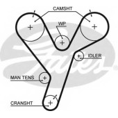 Ремень ГРМ GATES 5446XS
