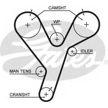 Ремень ГРМ GATES 5446XS