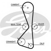 Ремень ГРМ GATES 5609XS