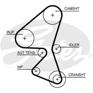 Ремень ГРМ GATES 5656XS