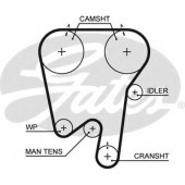 Ремень ГРМ GATES 5343XS
