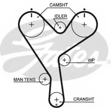 Ремень ГРМ GATES 5402XS