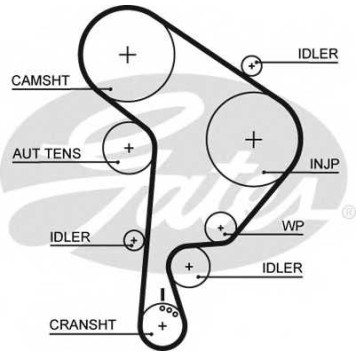 Ремень ГРМ GATES 5559XS