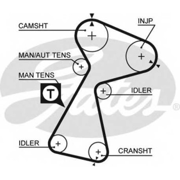 Ремень ГРМ GATES 5561XS