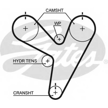 Ремень ГРМ GATES T255