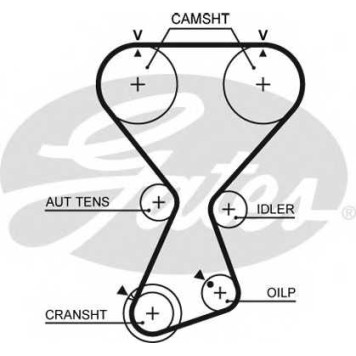 Ремень ГРМ GATES T313