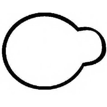 Прокладка впускного коллектора GLASER X53113-01