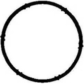 Прокладка впускного коллектора GLASER X57666-01