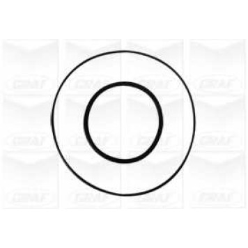 Водяной насос GRAF PA1056-1