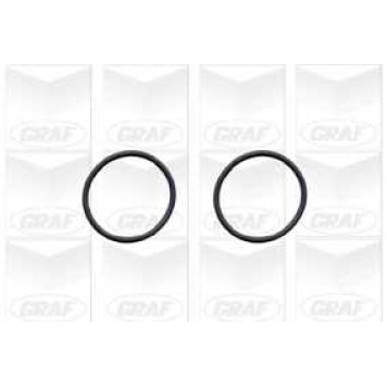 Водяной насос GRAF PA1105-1