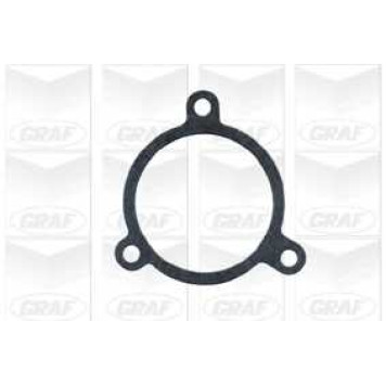 Водяной насос GRAF PA369-1