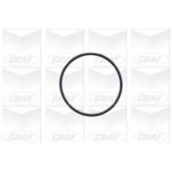 Водяной насос GRAF PA429A-1