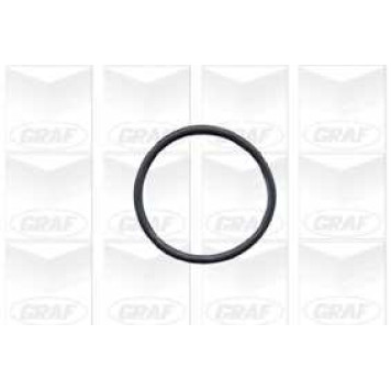 Водяной насос GRAF PA432A-1