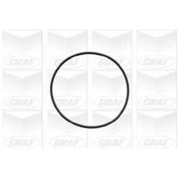 Водяной насос GRAF PA572-1