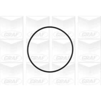 Водяной насос GRAF PA572A-1