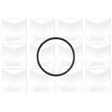 Водяной насос GRAF PA603-1