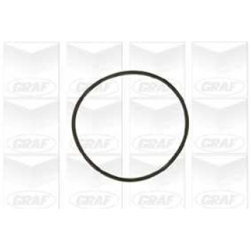 Водяной насос GRAF PA609-1